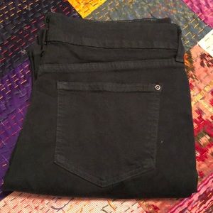 Dark Green Straight Leg Jean NWOT